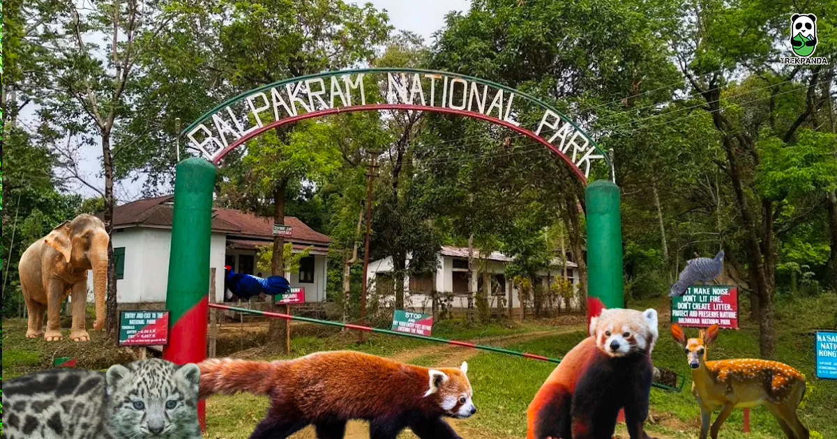 Balpakram National Park