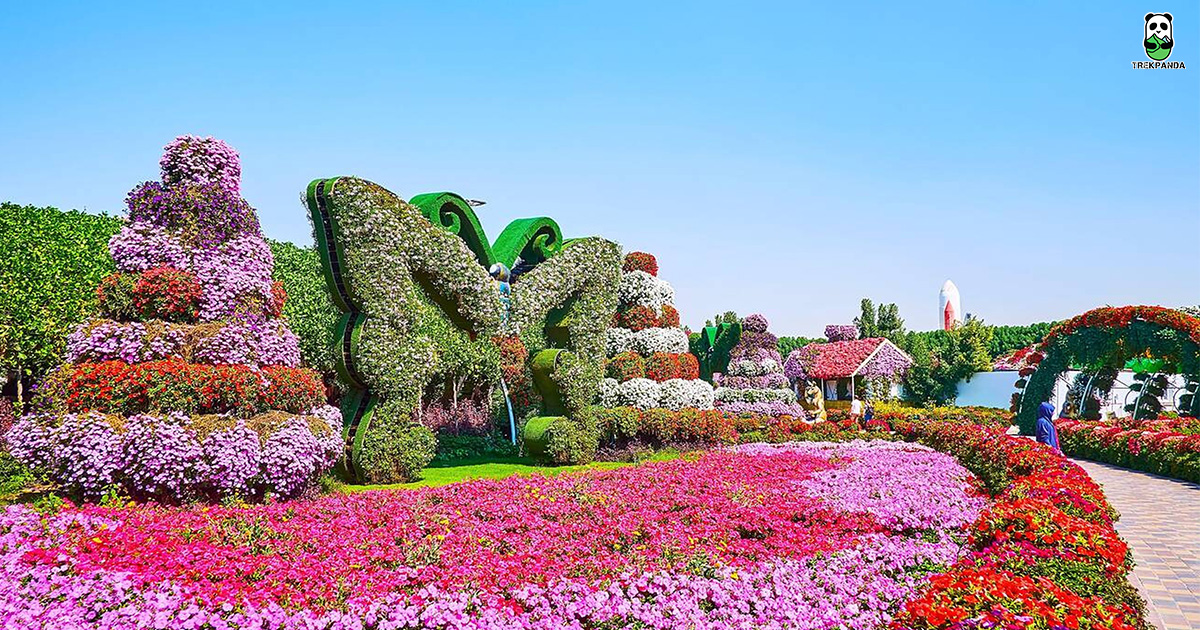Dubai Miracle Garden