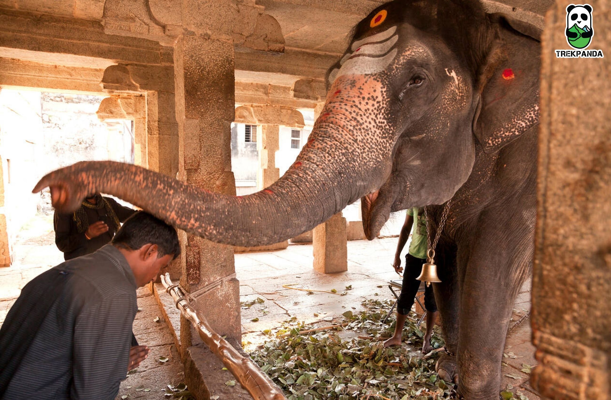 Elephant Hampi