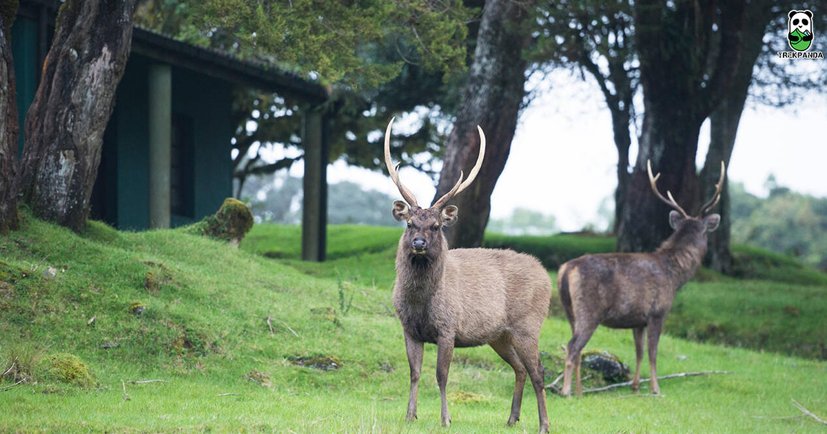 Horton Plains National Park