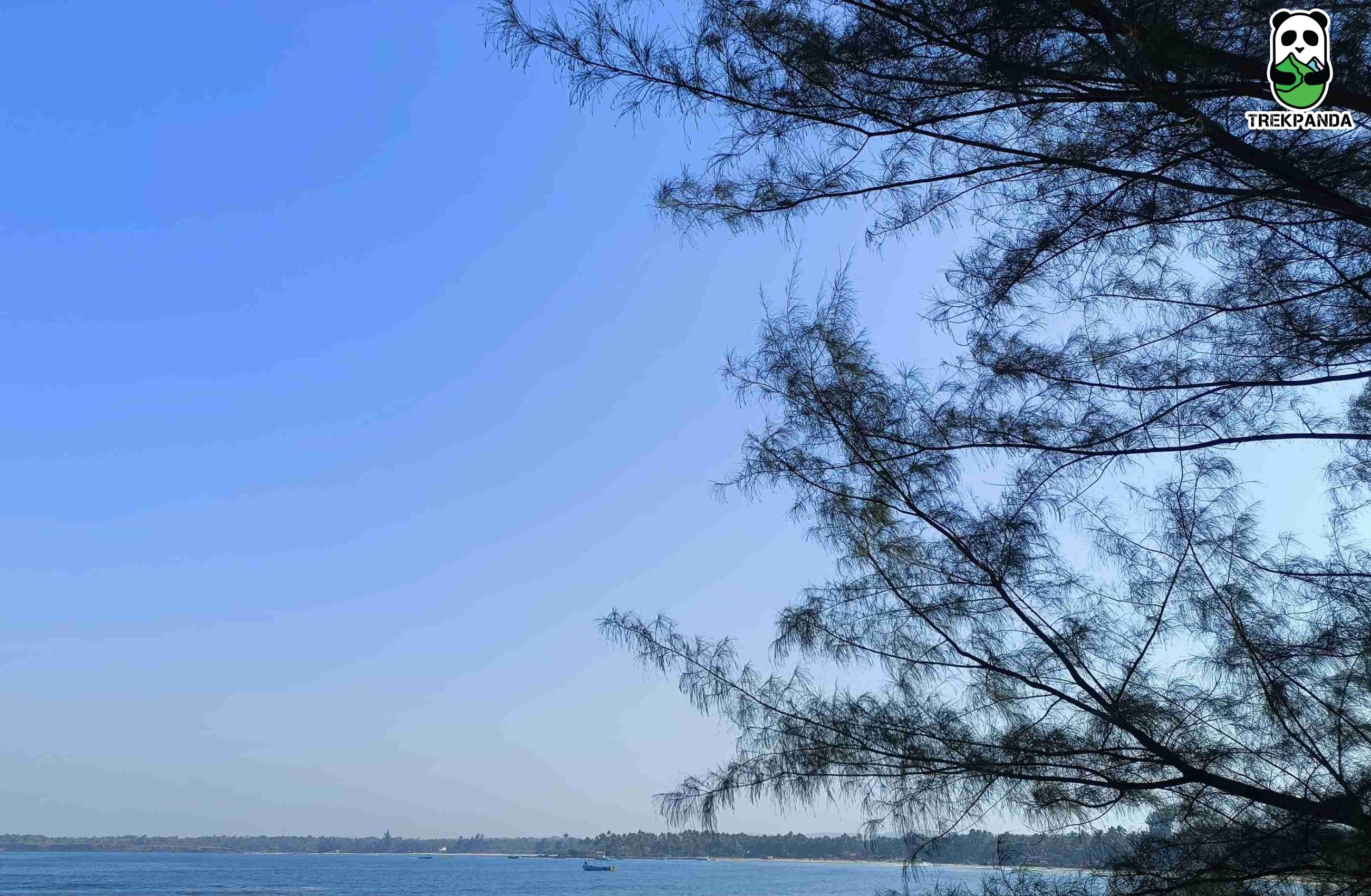 Malvan Day View