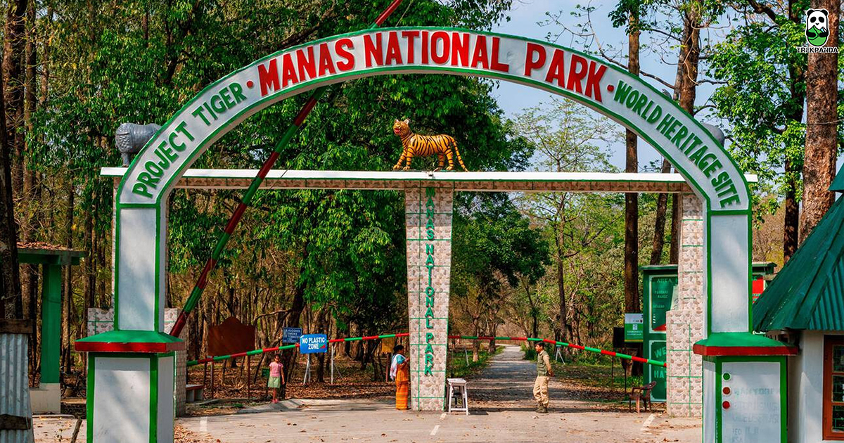Manas National Park A Unesco Natural Gem