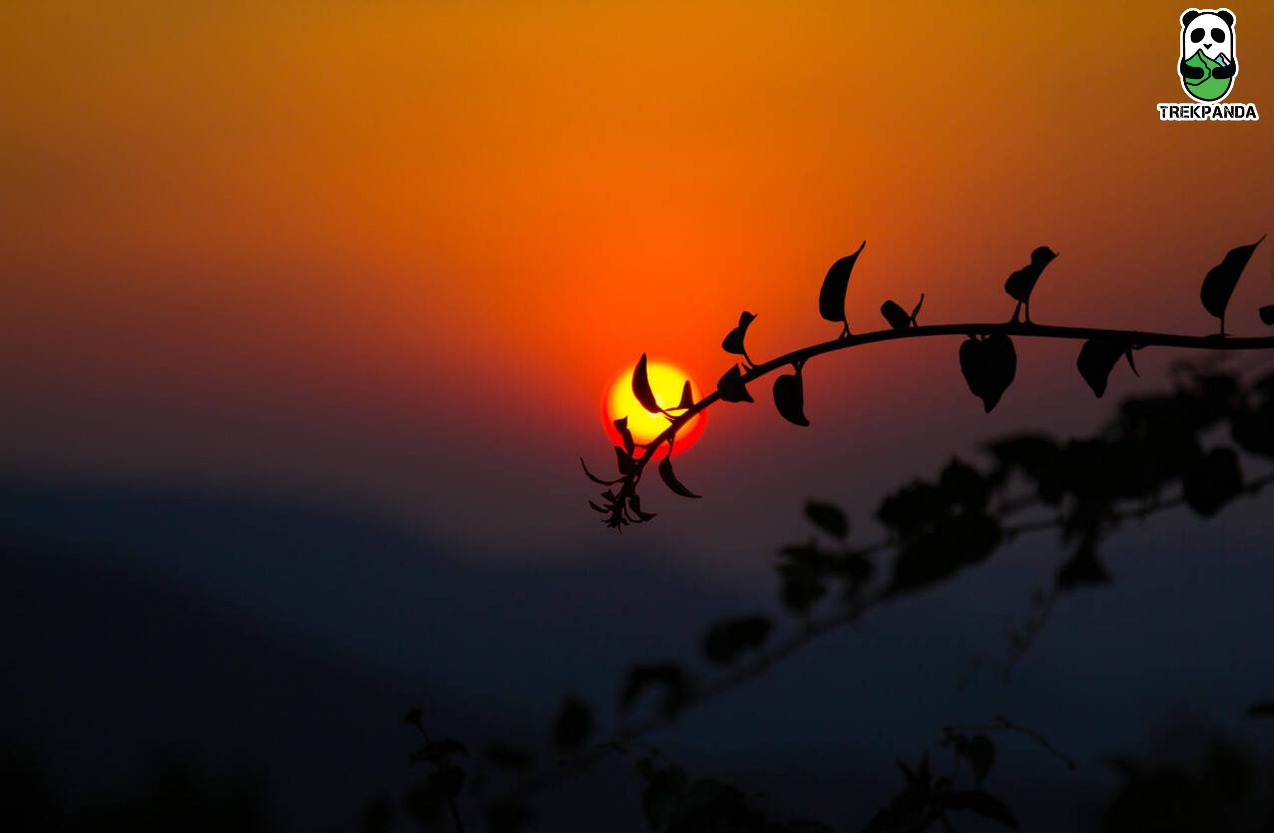 Sunset At Coorg