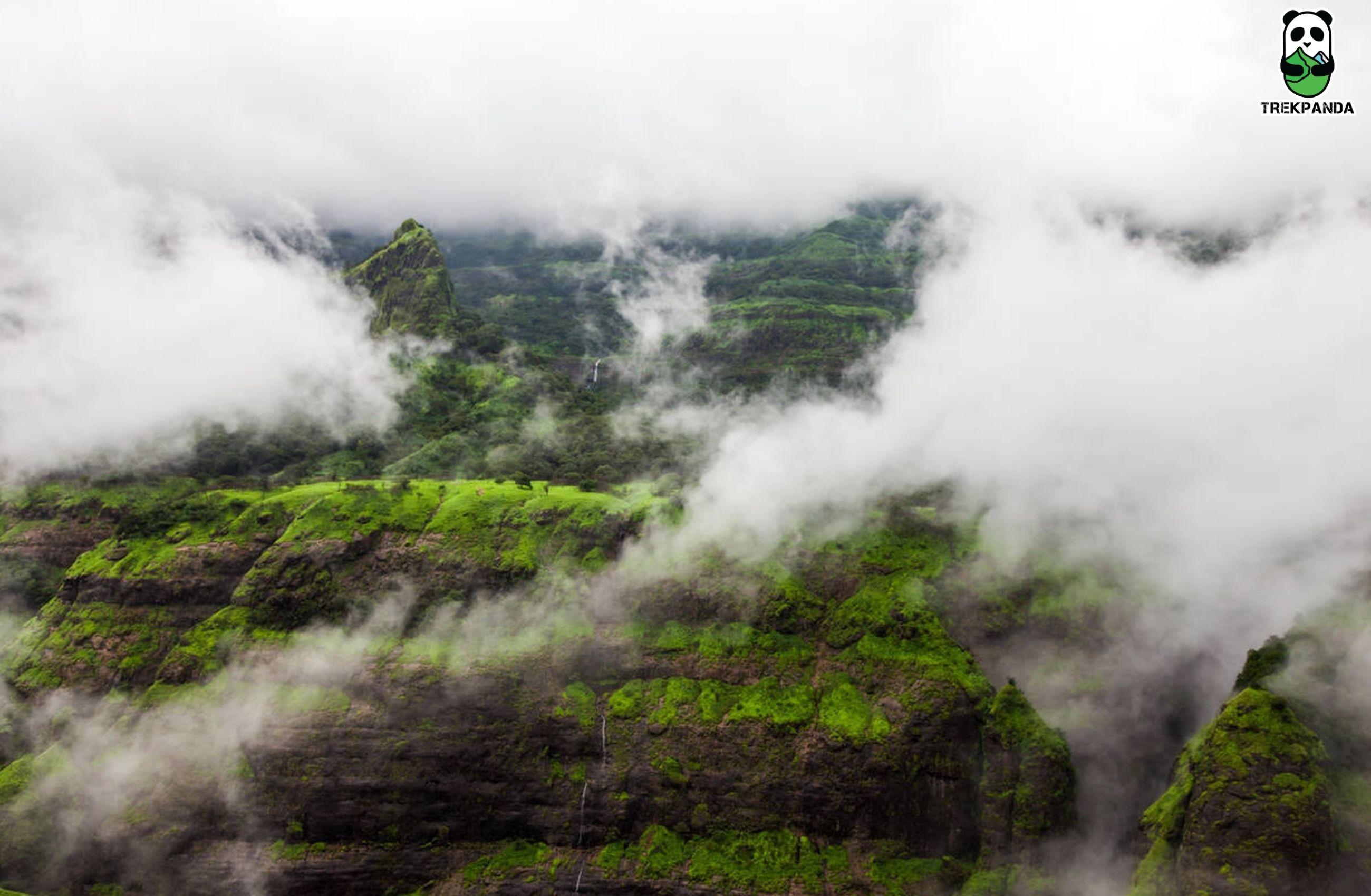 Aadrai Jungle