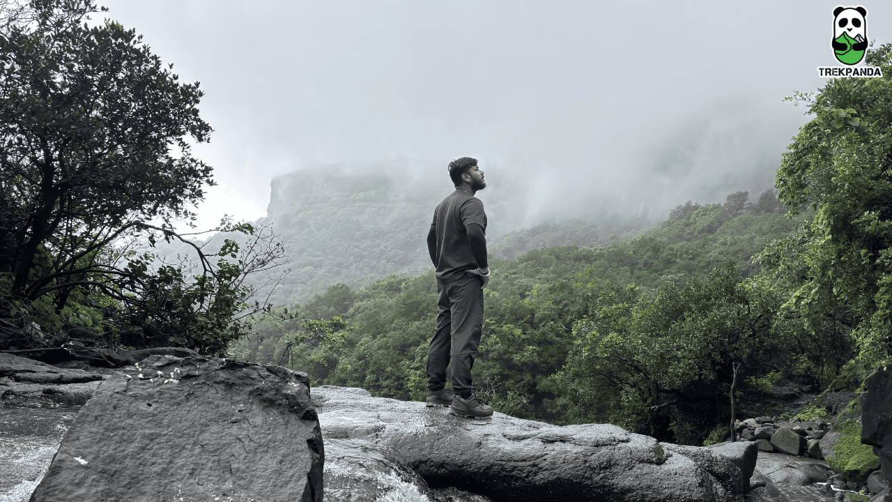 Aadrai Jungle Trek From Pune