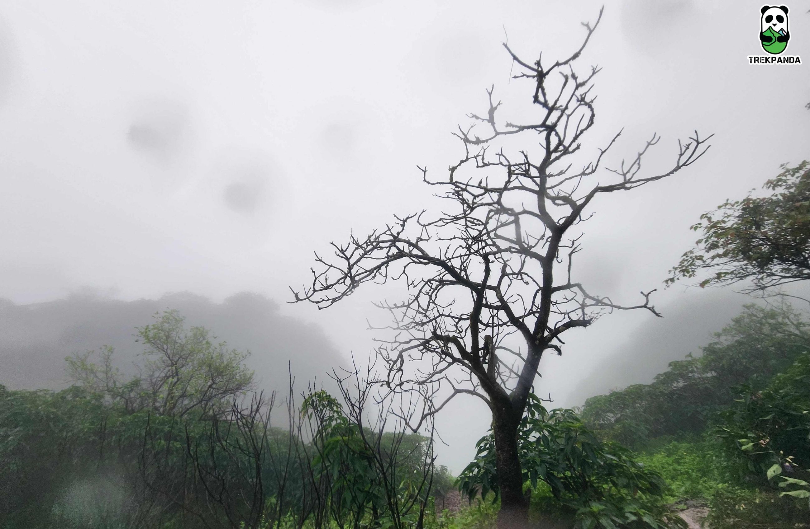 Andharban Jungle Trek