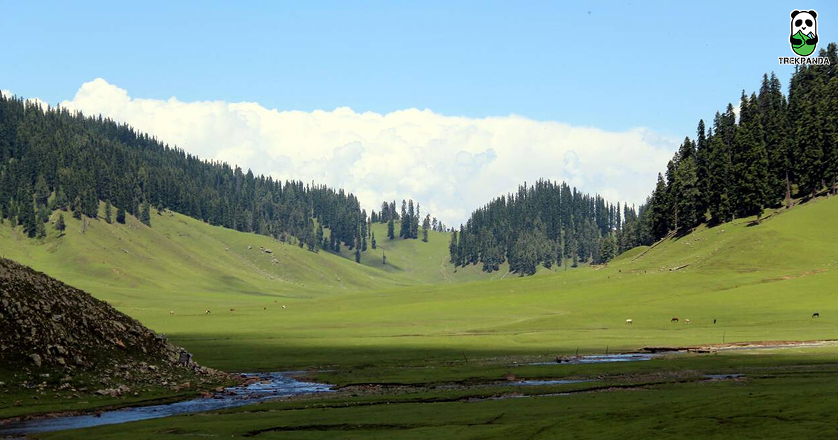 Bangus Valley Kupwara