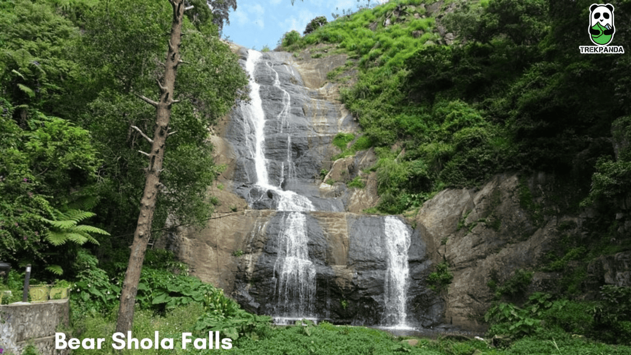 Bear Shola Falls