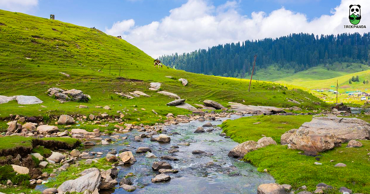 Betaab Valley%2c Pahalgam