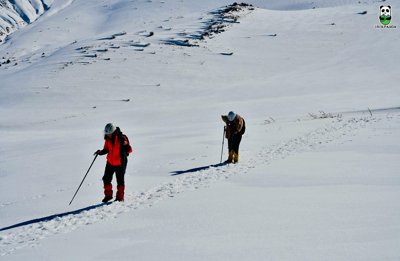 Bhrigu Lake Trek Trekpanda