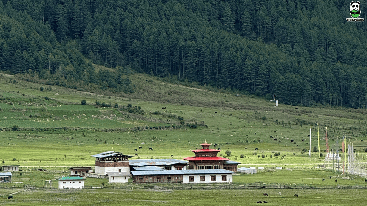 Bhutan Group Tour Packages
