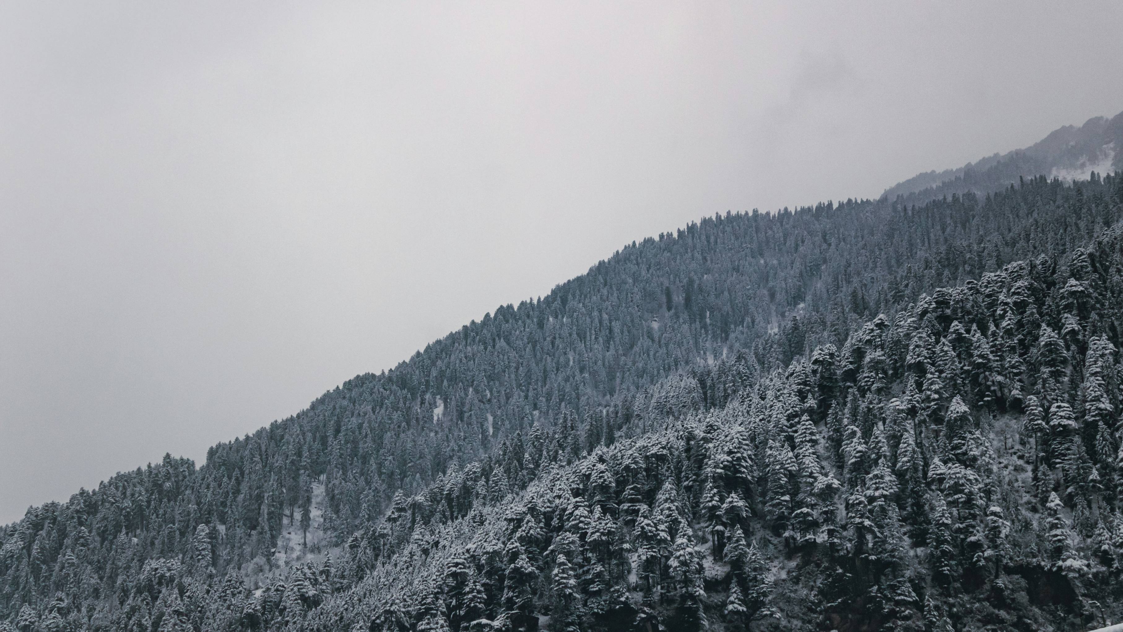 Brahmatal Winter Trek Trekpanda
