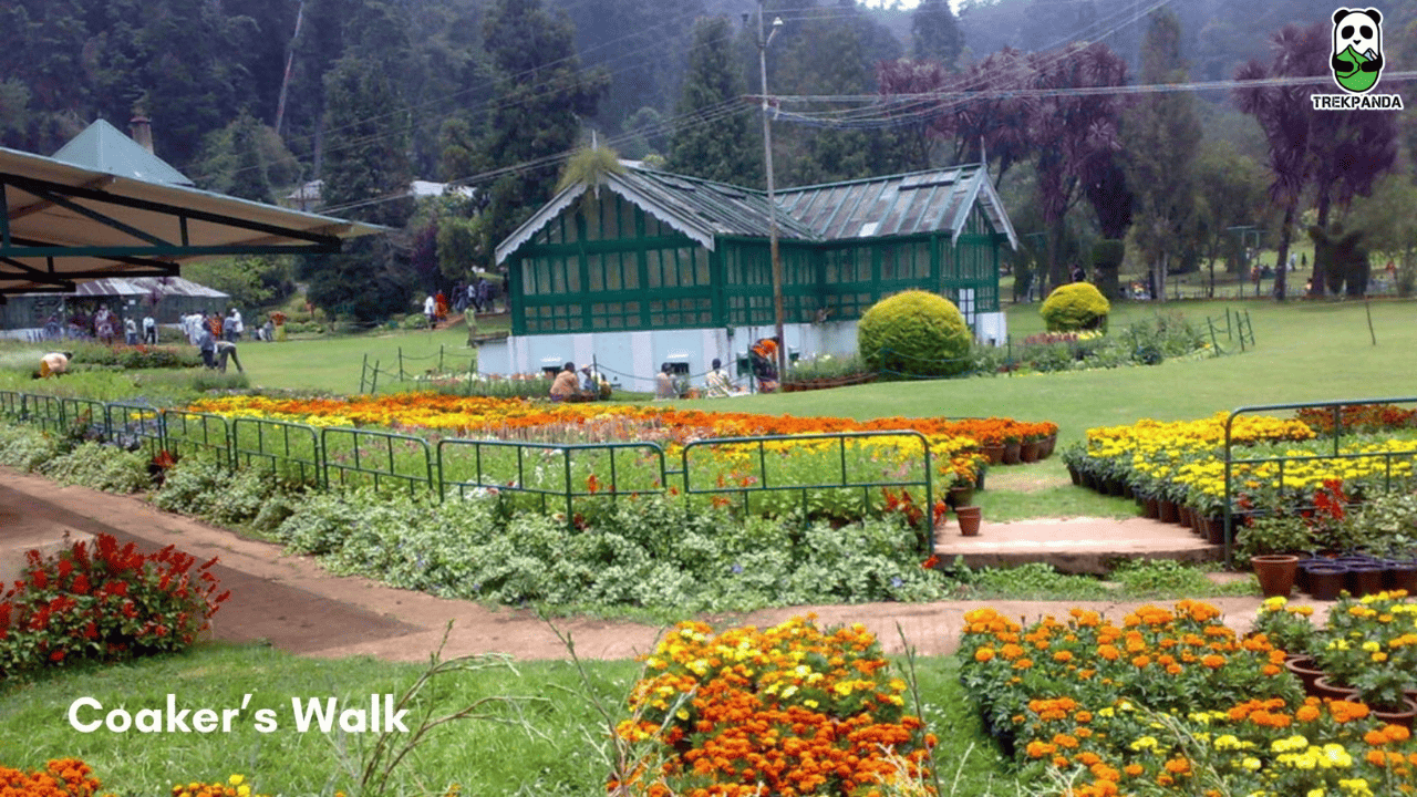 Coakers Walk