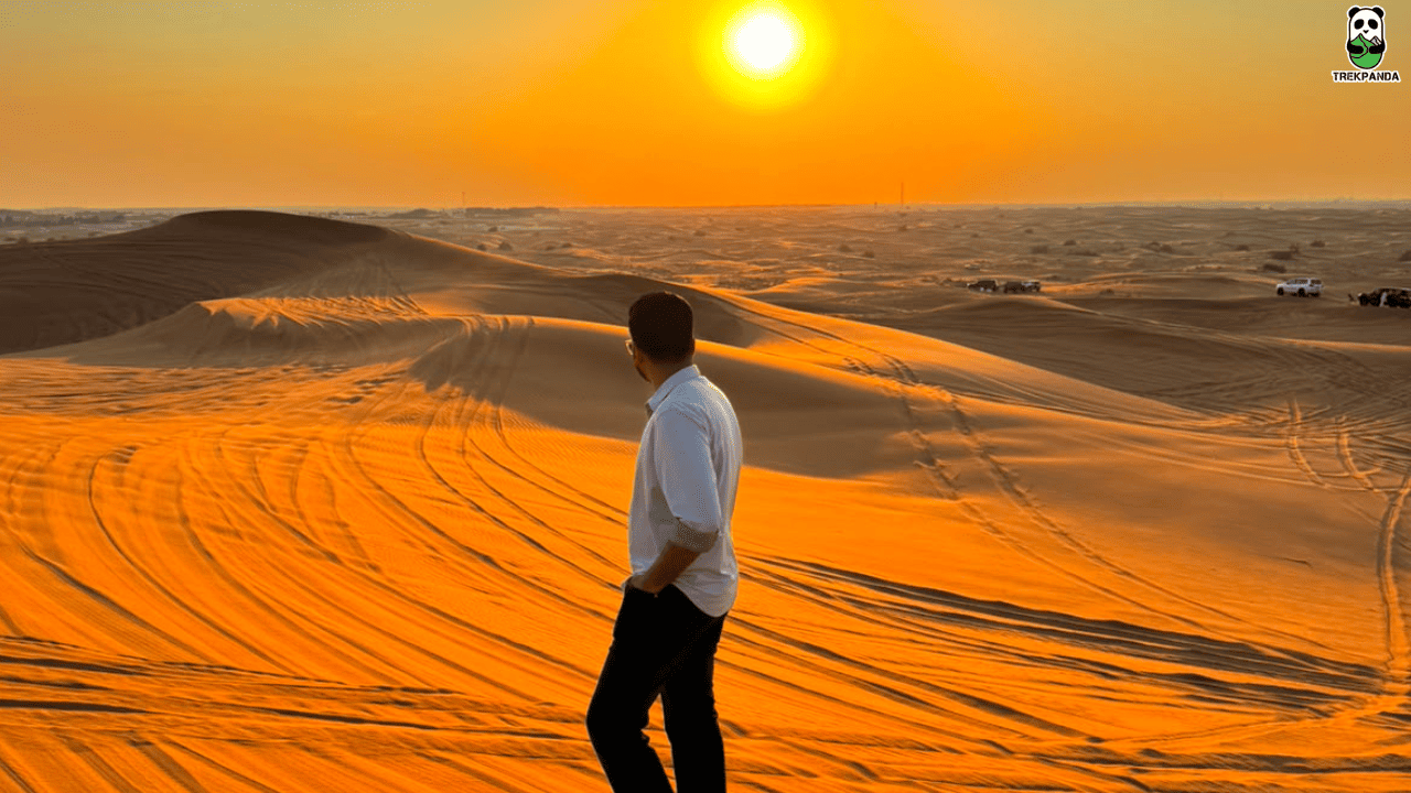 Dubai Desert Safari Tours