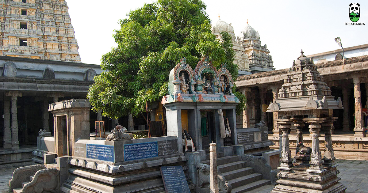 Ekambareswarar Temple In Kanchipuram