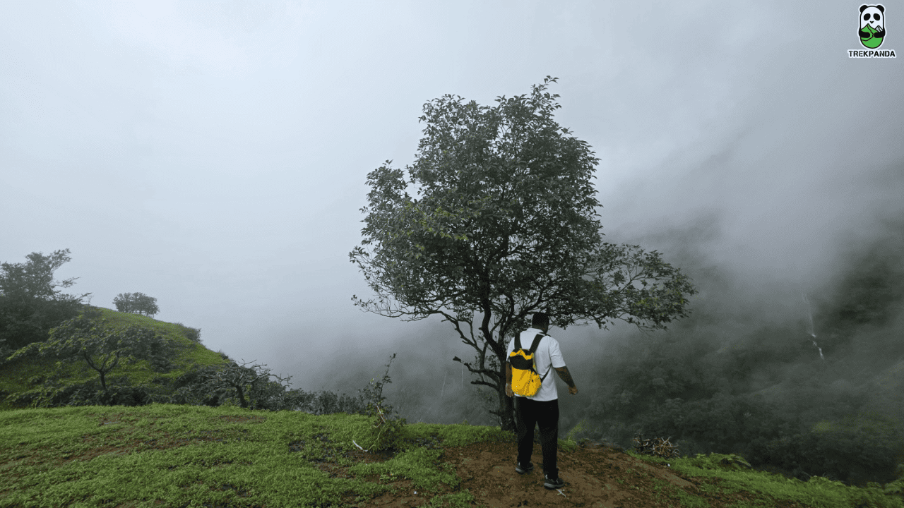 Gavraiban Jungle Trek