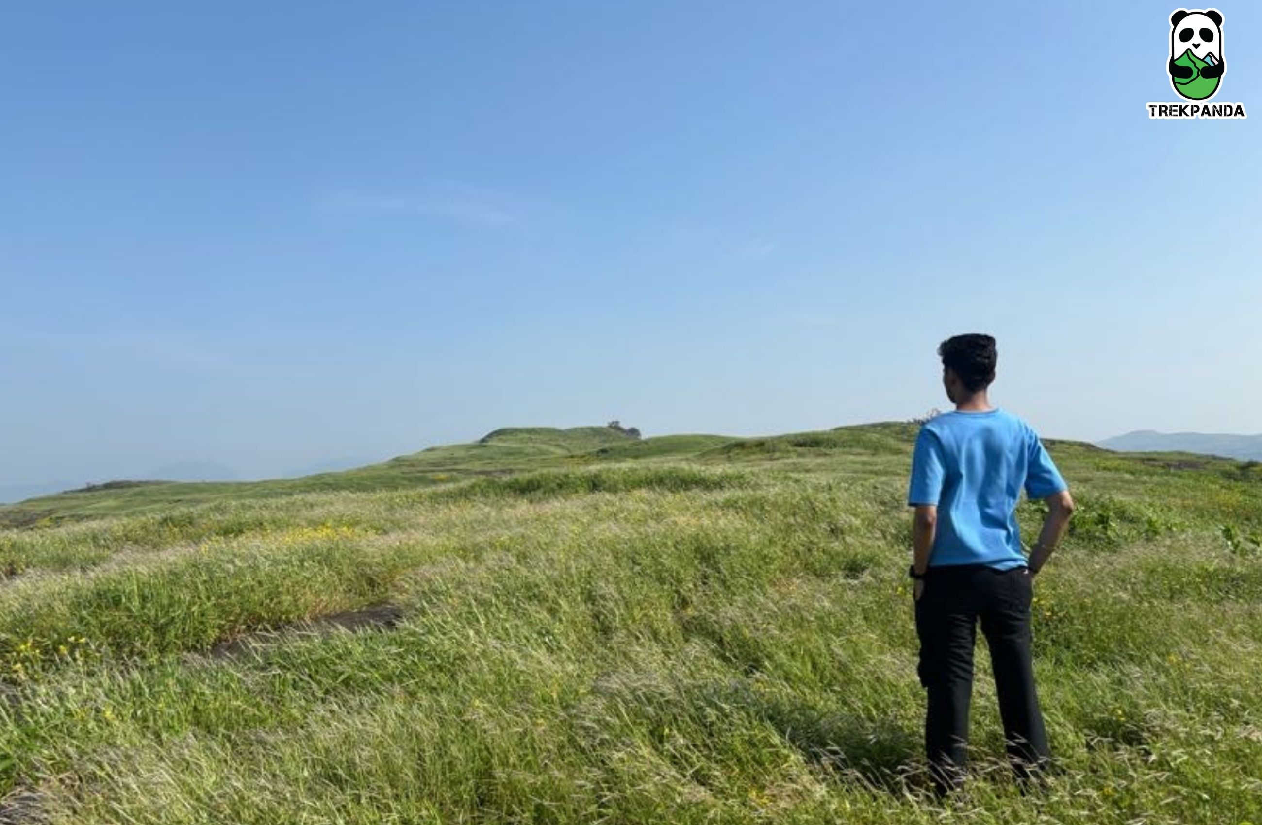 Harishchandragad Grass Photo