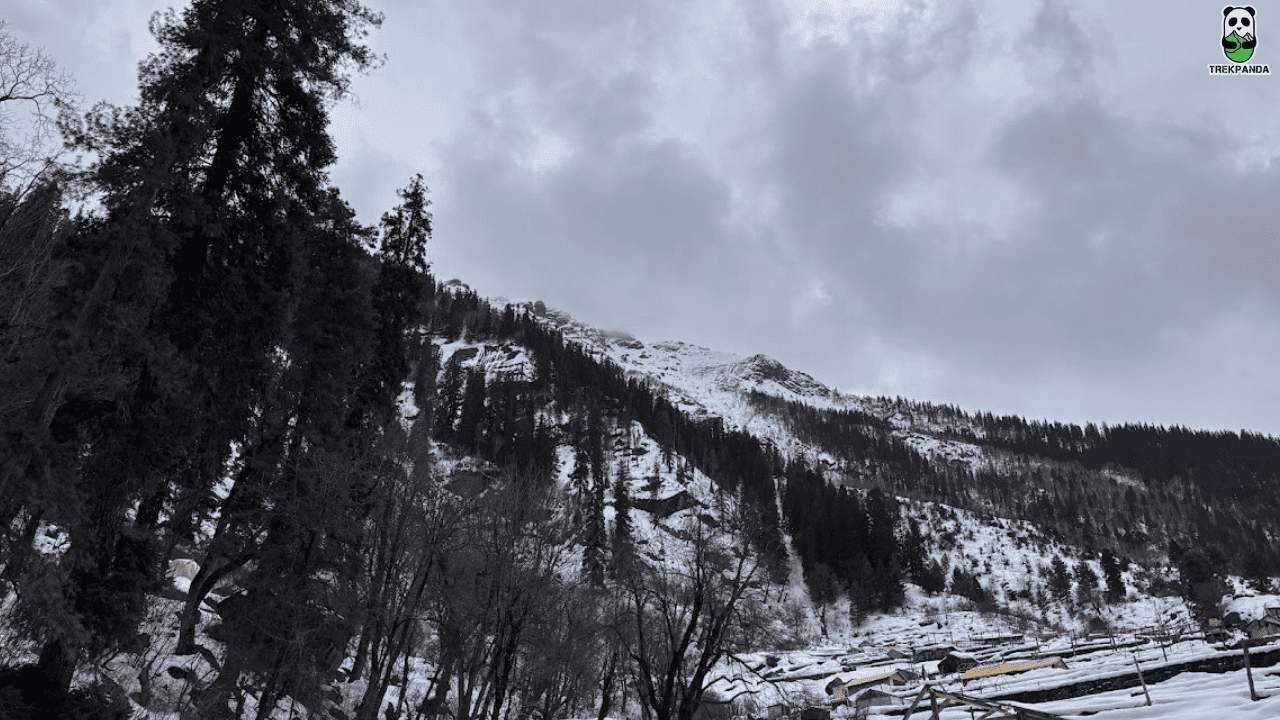 Himachal Pradesh India