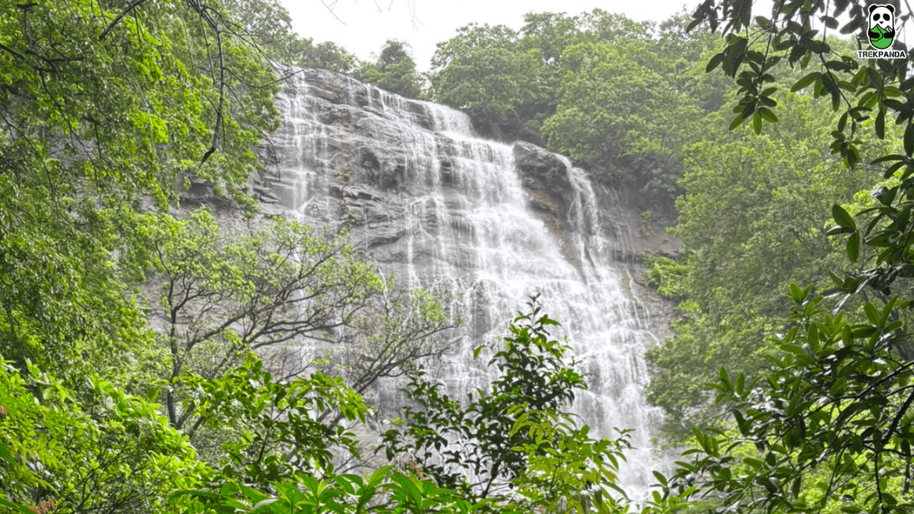 Jacuzzi Waterfall Forest Trail