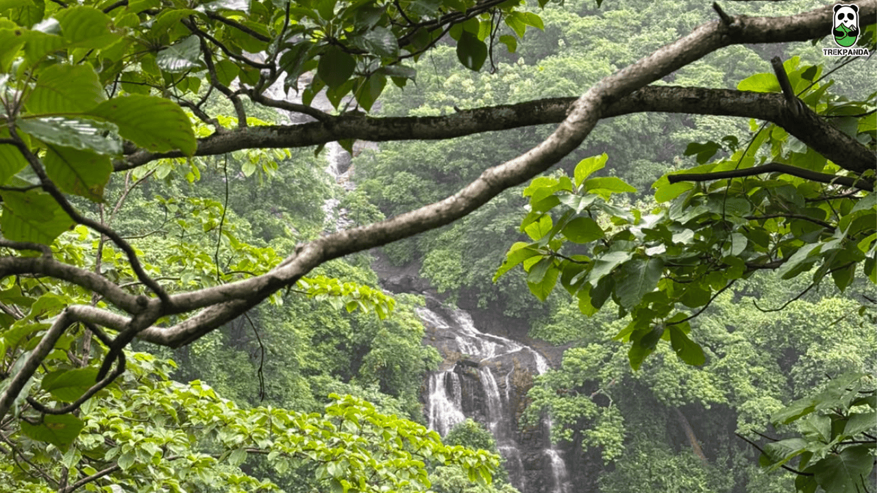 Jacuzzi Waterfall Scenic View