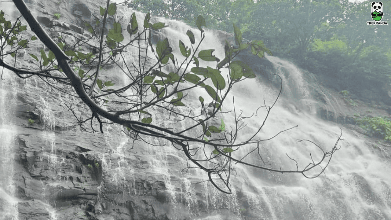 Jacuzzi Waterfall Trek