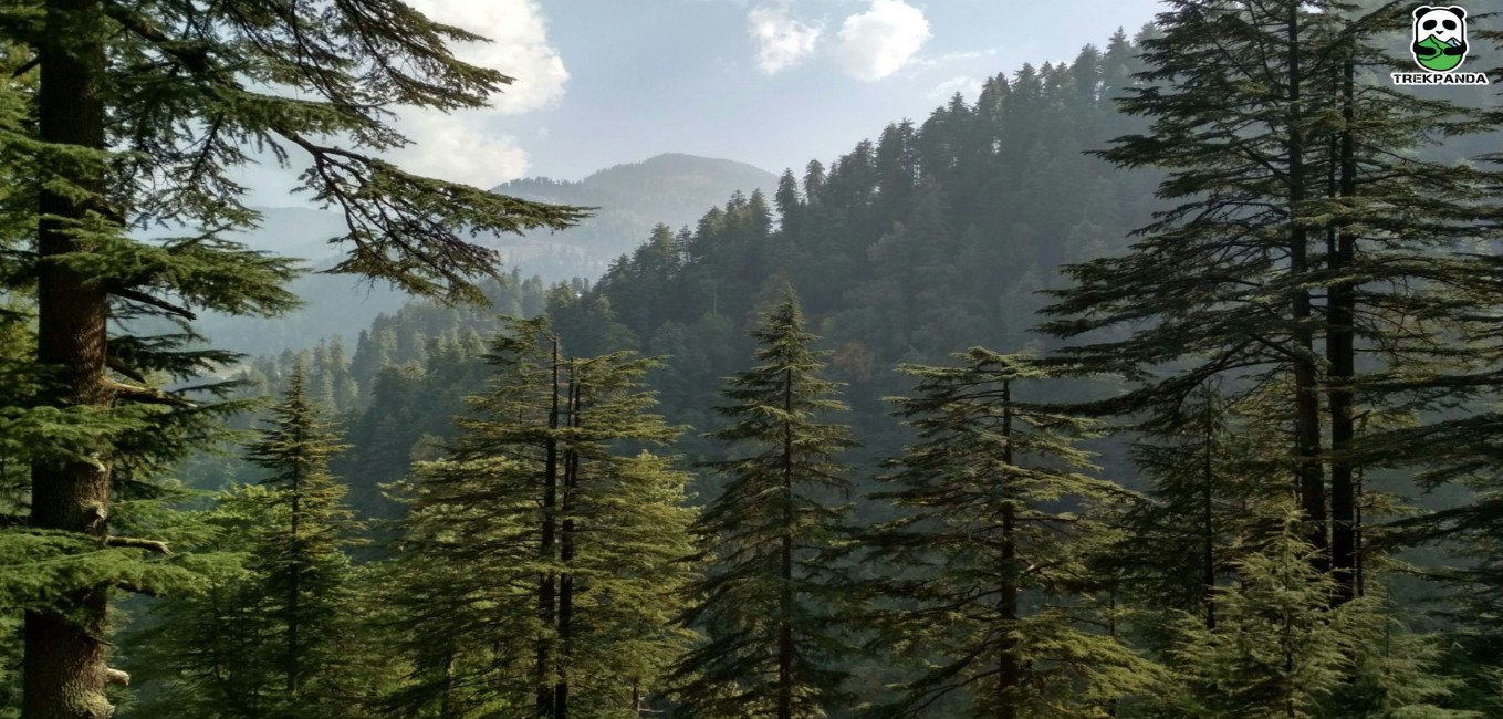 Jibhi Tirthan Valley