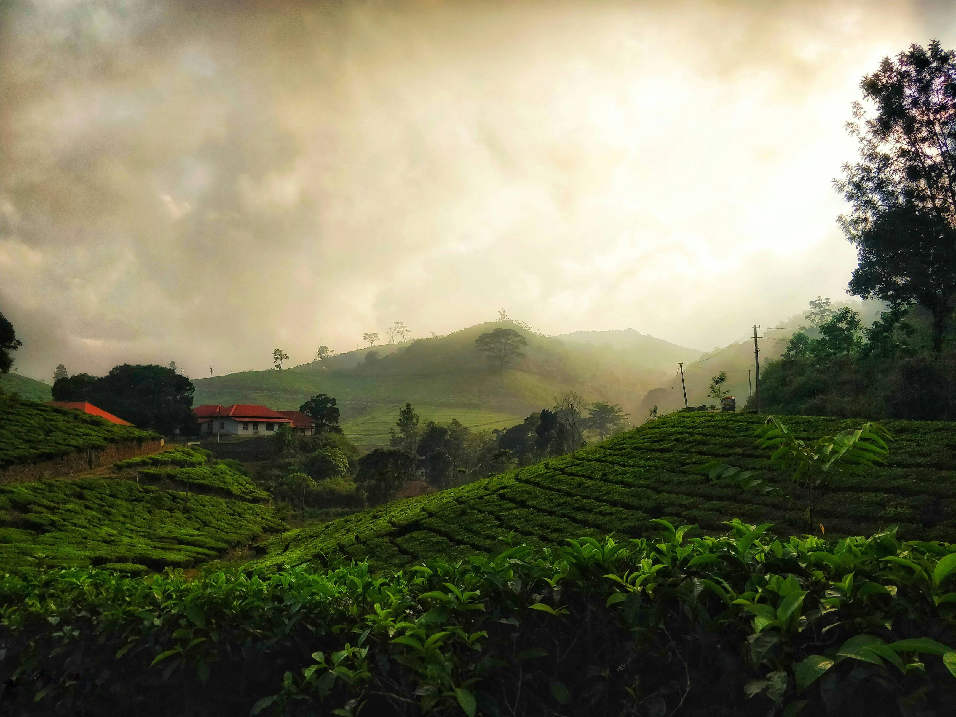 Kerala With Kanyakumari Trekpanda