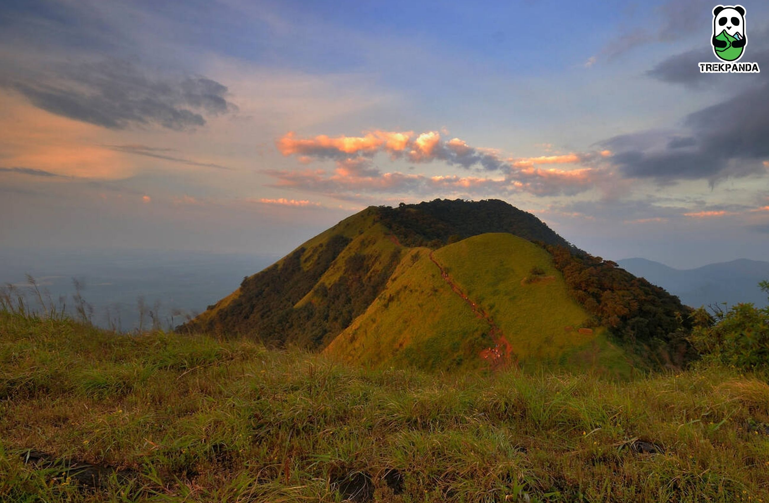 Kodachadri Trek With Hidlumane Falls Package