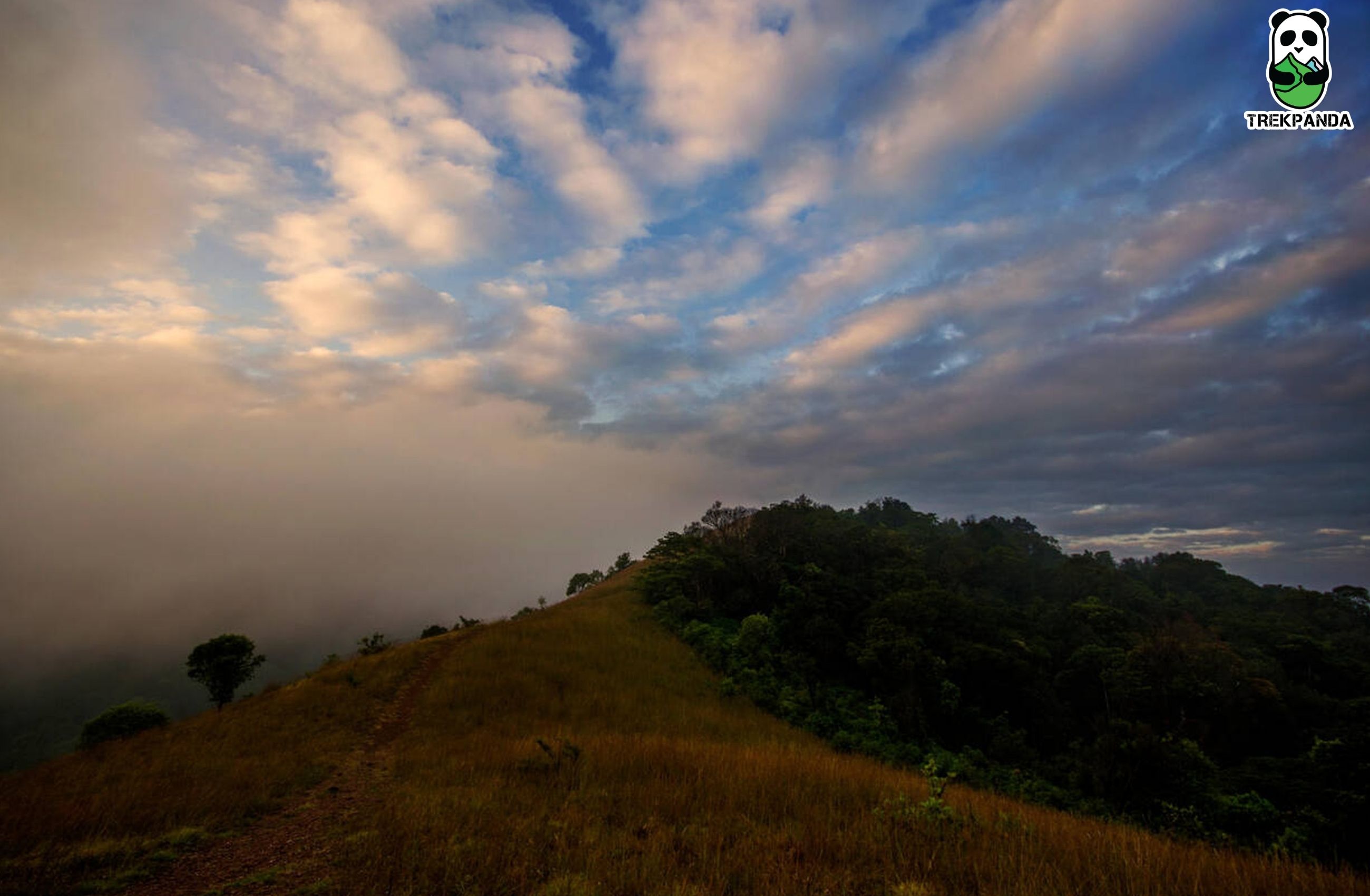 Kodachadri Trek With Hidlumane Falls