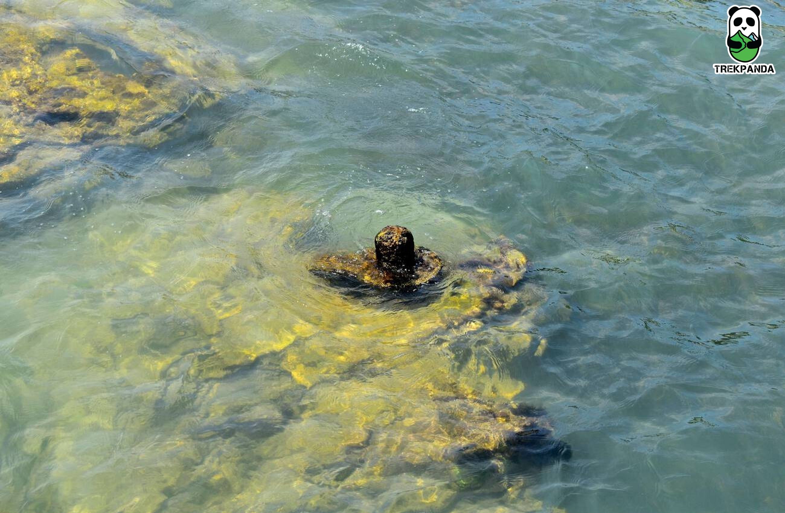 Mahadev Jyotirlinga Rameshwaram