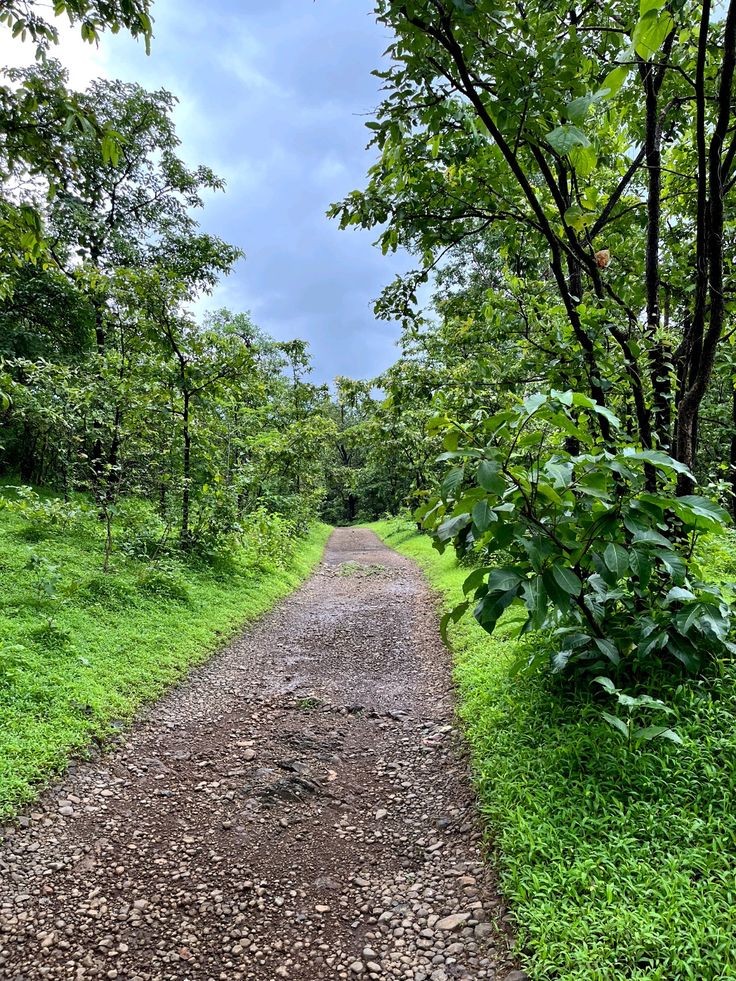 Naneghat Trekpanda