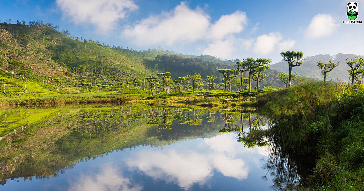 Nuwara Eliya