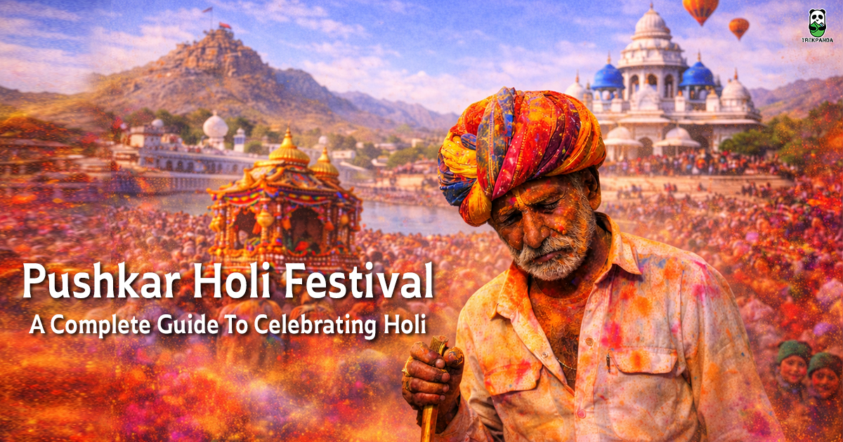 Pushkar Holi Festival A Complete Guide To Celebrating Holi