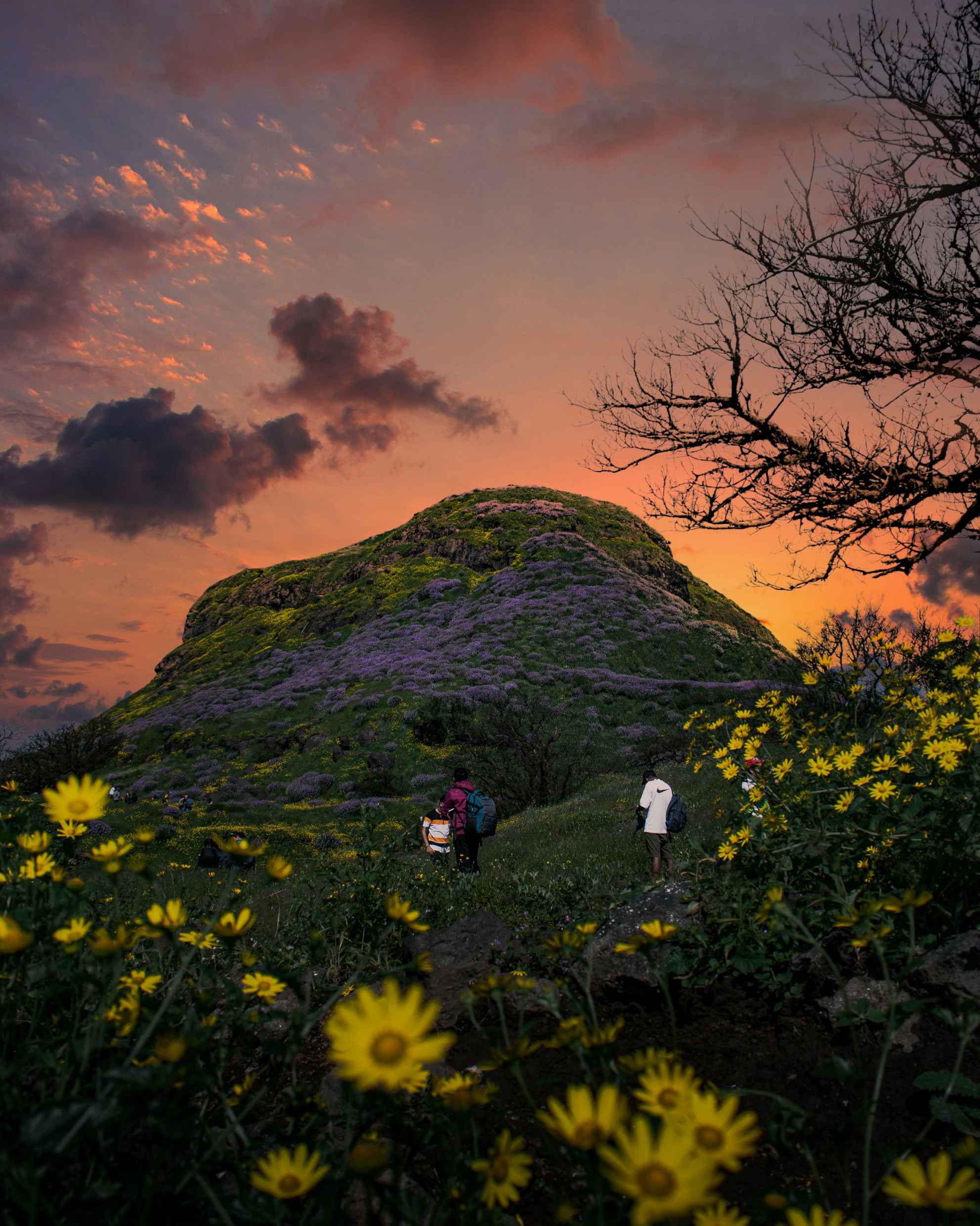 Ratangad Trek Distance