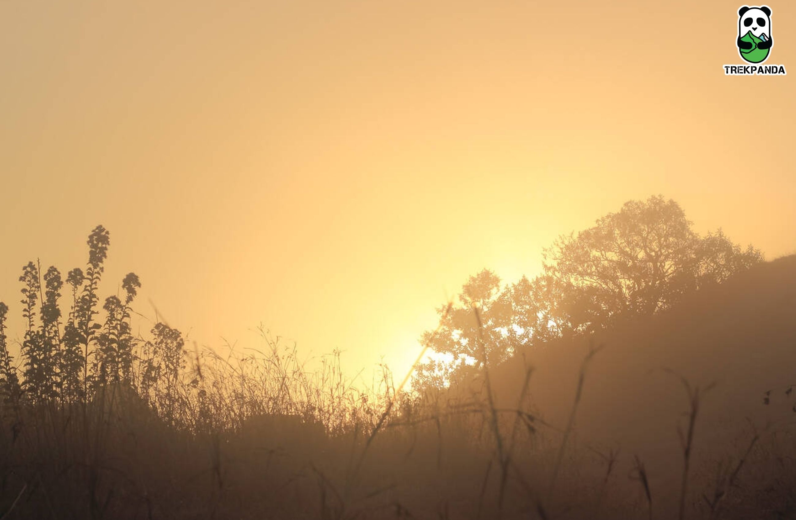Skandagiri Sunrise Trek By Trekpanda