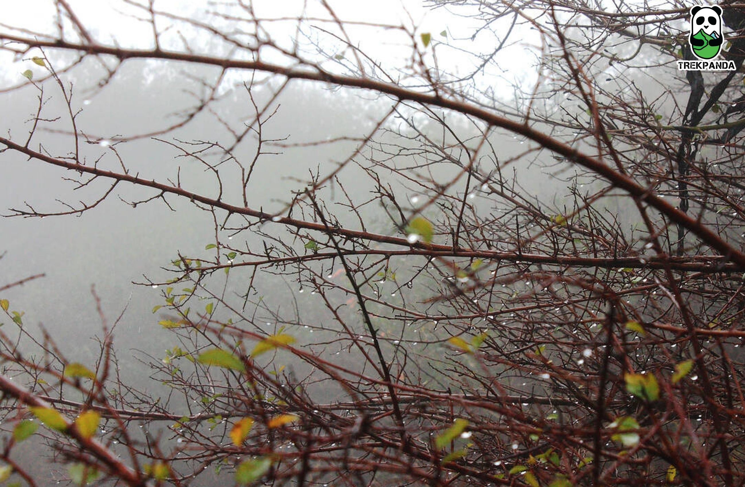 Skandagiri Tour Trek