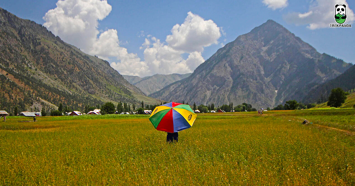 Snow Covered Peaks In Gurez Valley