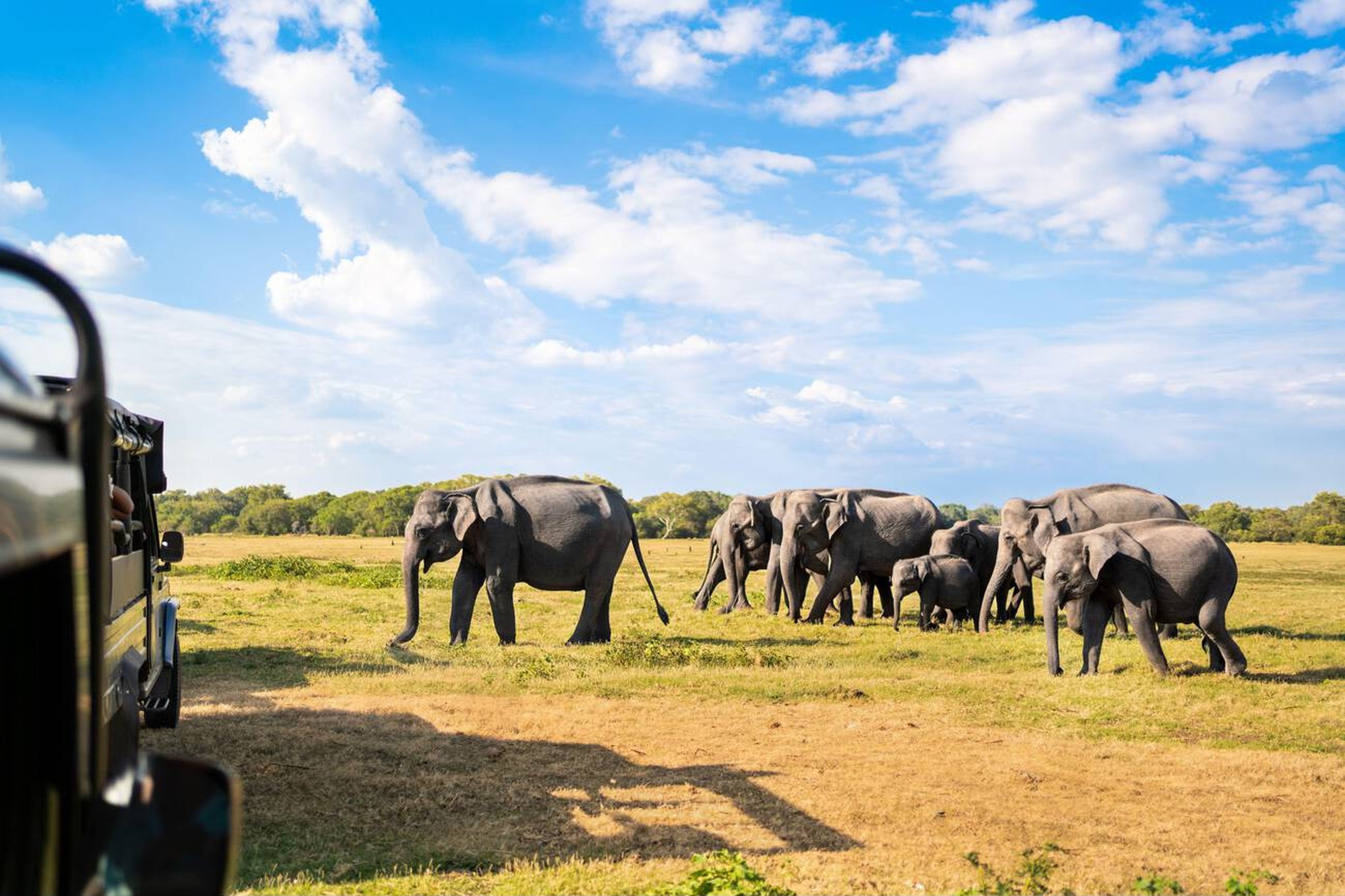 Sri Lanka