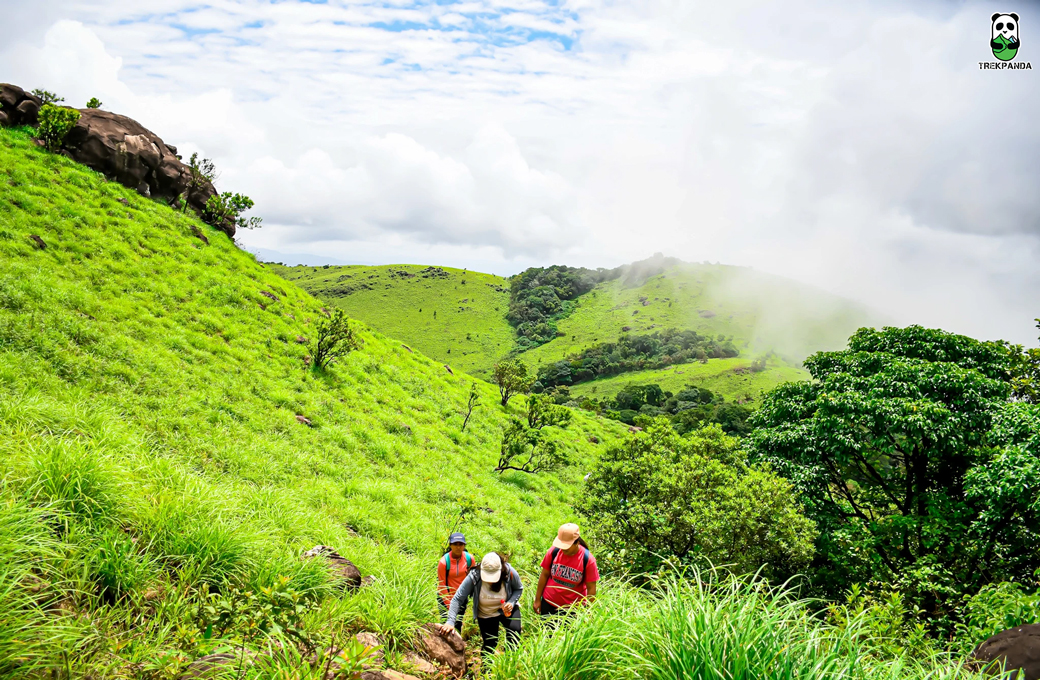Tadiandamol Trek Trekpanda Package