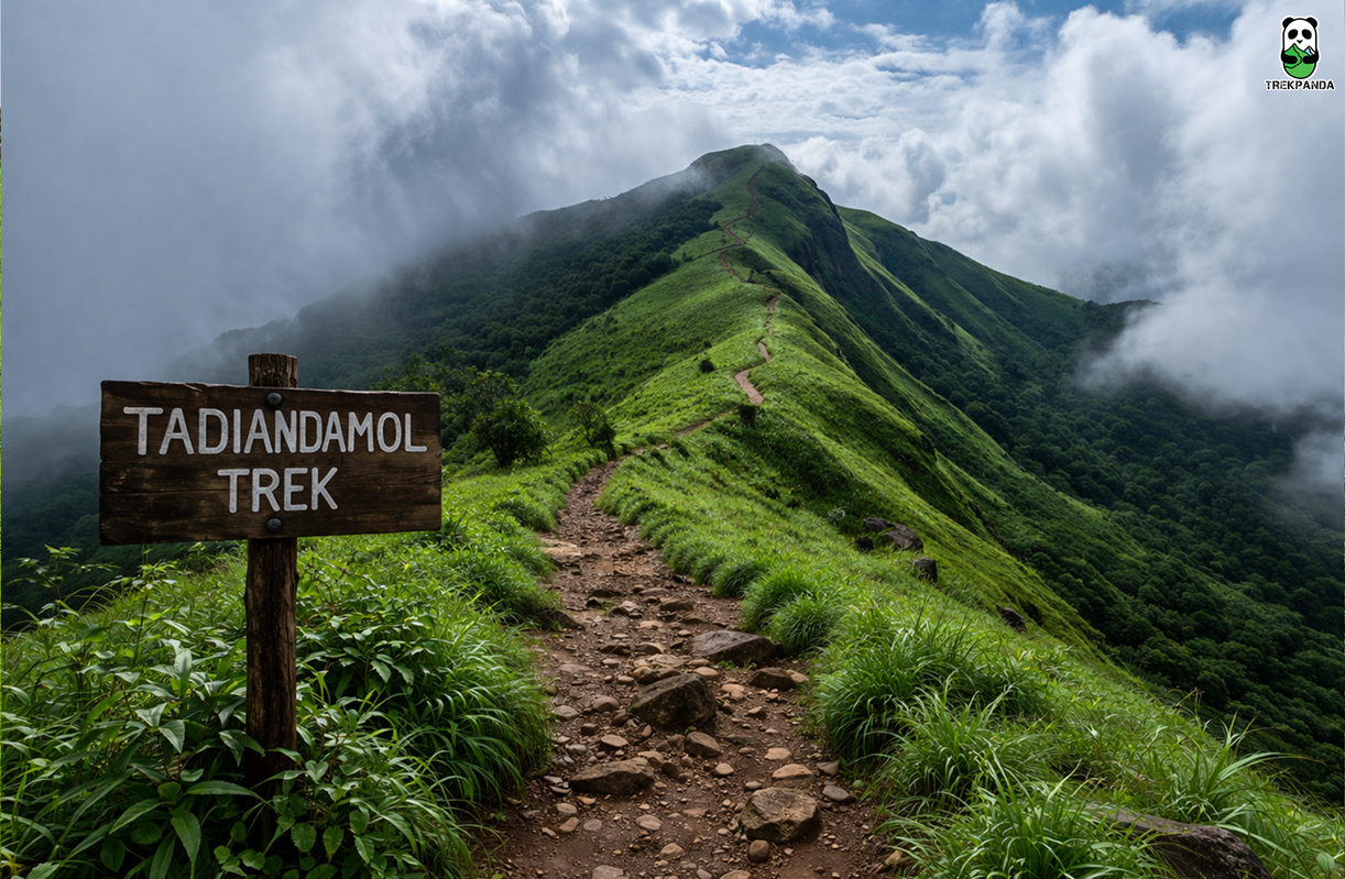 Tadiandamol Trek Trekpanda