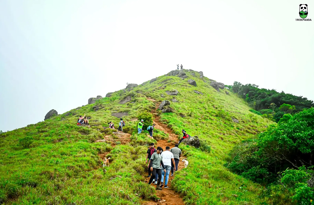 Tadiandamol Trek