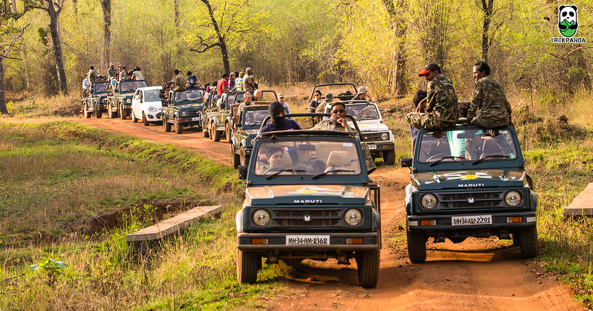 Tadoba National Park