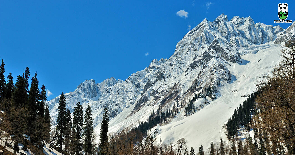 Thajiwas Glacier Sonamarg