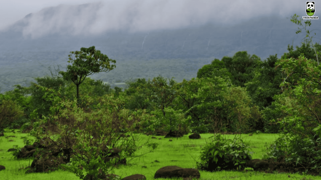 Trekpanda Gavraiban Jungle Trail