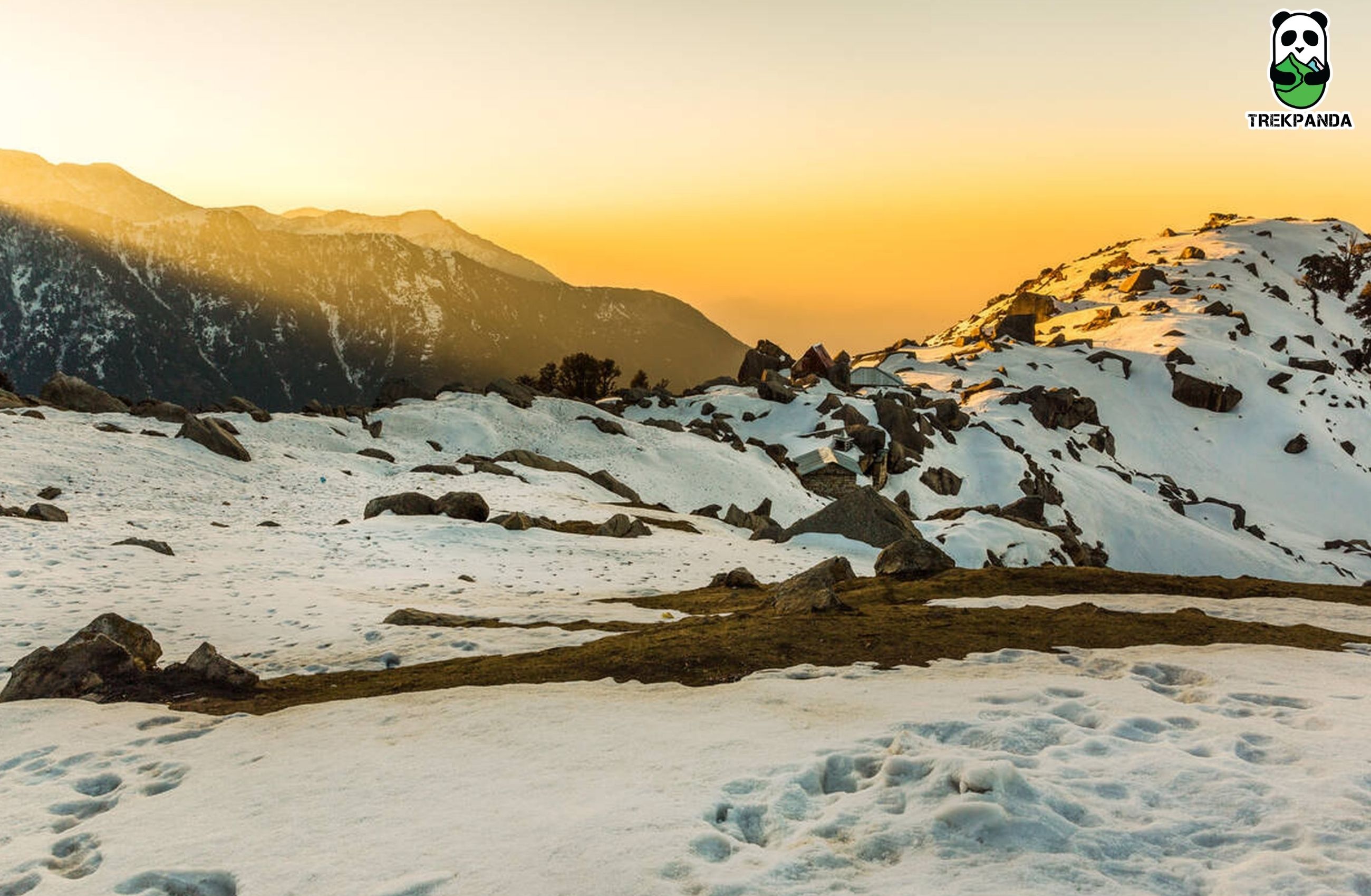 Triund Trek