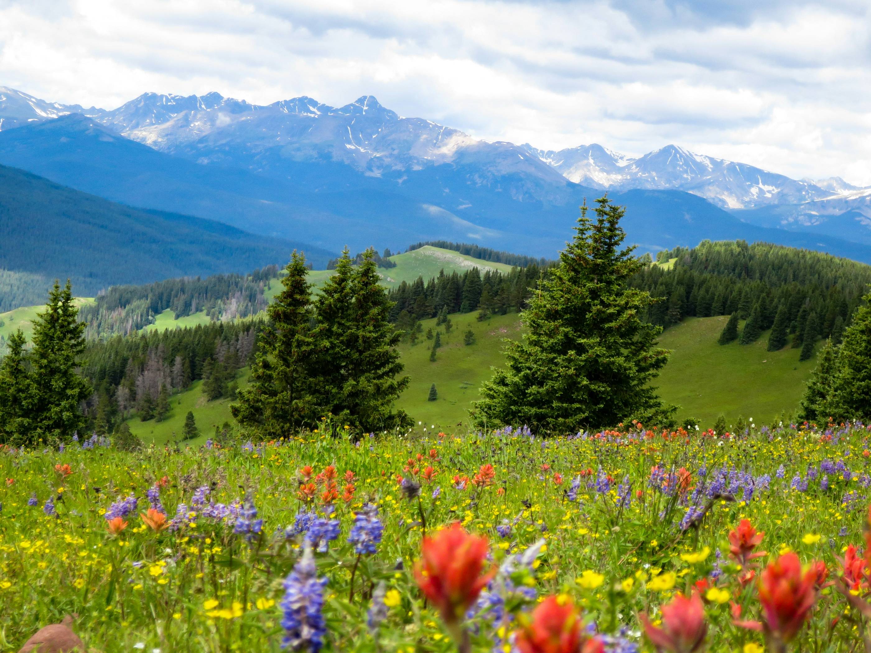 Valley Of Flowers And Hemkund Sahib Trek