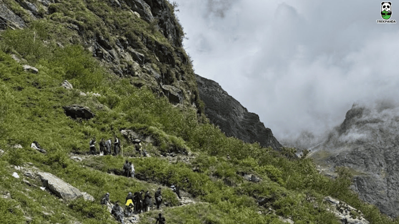 Valley Of Flowers India