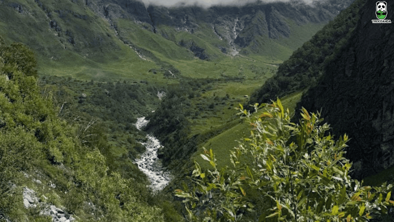 Valley Of Flowers National Park Photos%c3%a2%c2%80%c2%8b