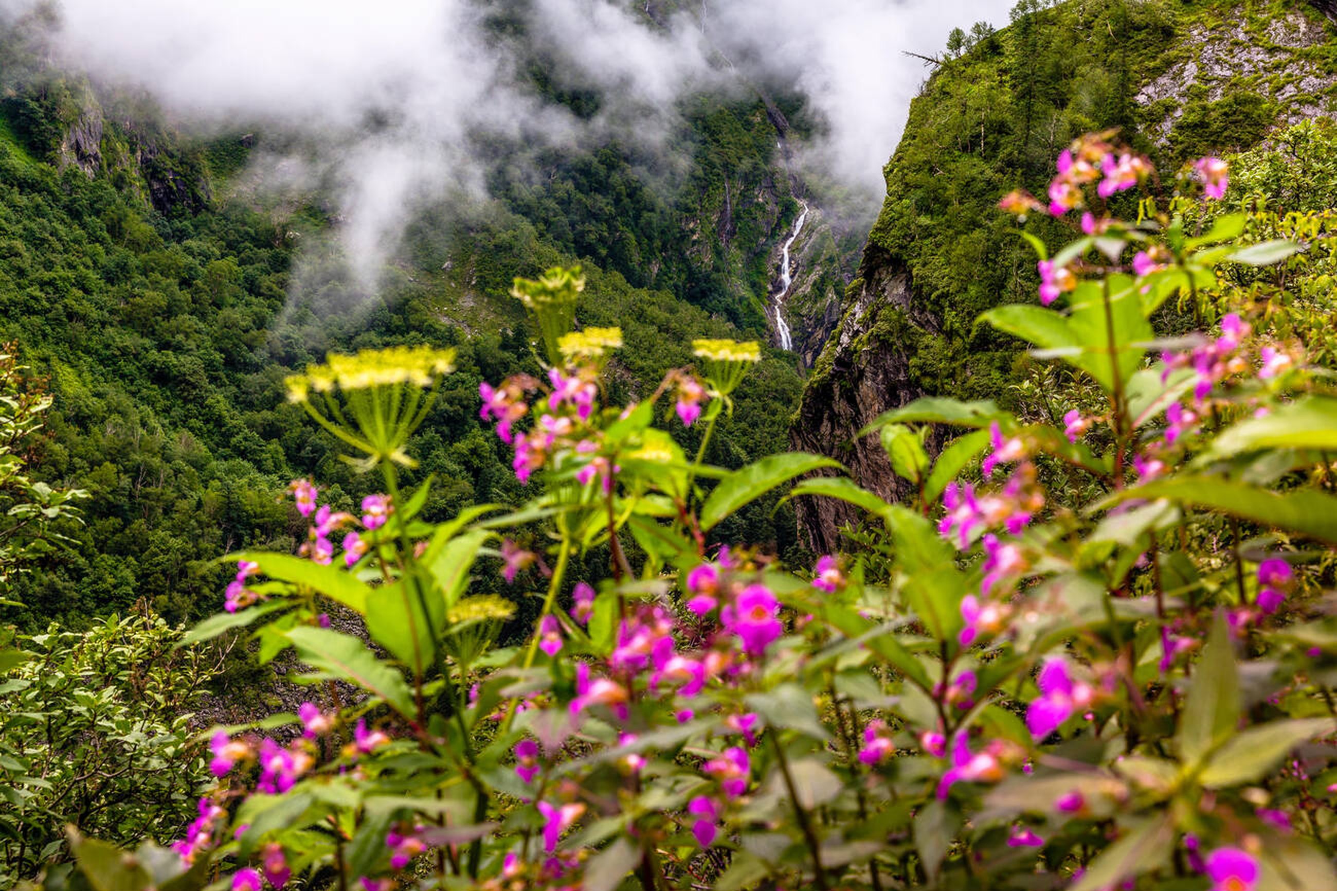 Valley Of Flowers Trek By Trekpanda