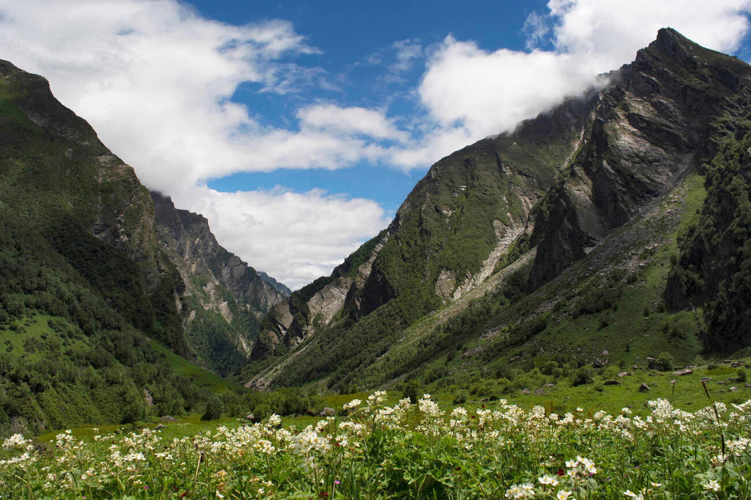 Valley of Flowers and Hemkund Sahib Trek